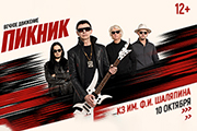 &Pcy;&icy;&kcy;&ncy;&icy;&kcy;